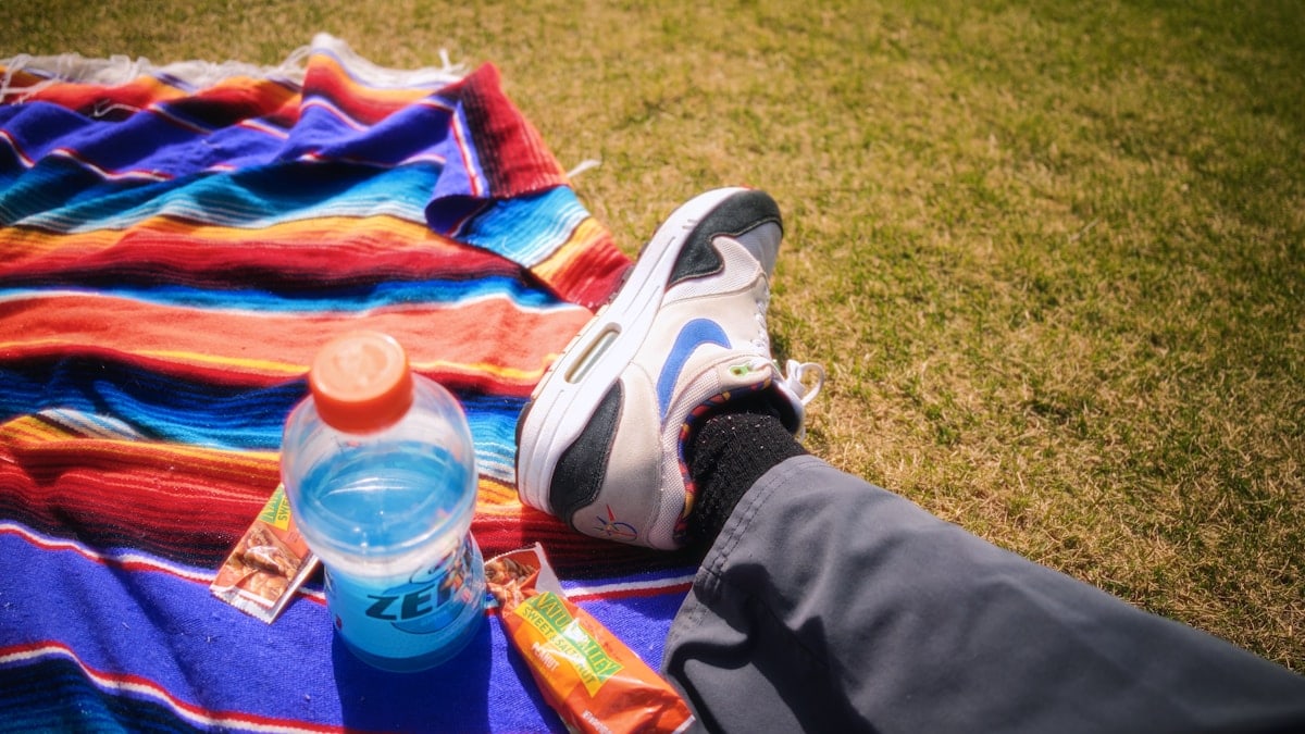 Picnic